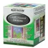 Rust-Oleum - Chalkboard Paint - 824 mL - Tintable Base -Rust Oleum Store 03305621 L